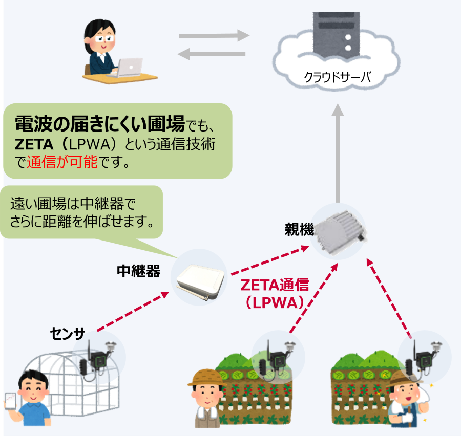 ZETA版